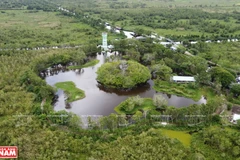 Fortalecen el turismo ecológico en Parque Nacional U Minh Thuong de Vietnam