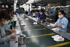 Vietnam por cumplir con estándares ecológicos para impulsar exportaciones a mercados exigentes