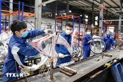 Crecimiento económico de Vietnam consolida confianza de inversores europeos