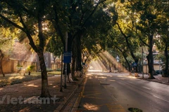Visita la calle más hermosa de Hanoi en el comienzo del otoño