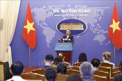 El portavoz adjunto de la Cancillería de Vietnam, Doan Khac Viet. (Foto: VNA)