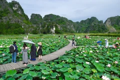 Foto de ilustración. (Foto: vietnamnet.vn)