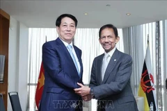 El presidente vietnamita, Luong Cuong, se reúne con el sultán de Brunei Darussalam, Hassanal Bolkiah. (Foto: VNA)