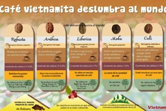 Café vietnamita deslumbra al mundo