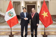 El presidente de Vietnam, Luong Cuong, y el titular del Poder Judicial de Perú, Javier Arévalo Vela. (Foto: VNA)