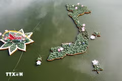 Mapa de Vietnam elaborado a partir de cinco mil macetas de lotos en Dong Thap