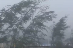 Vientos y lluvias en la isla de Bach Long Vi. (Foto: VNA)
