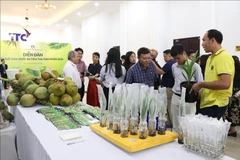 Participantes en el foro. (Foto: VNA)