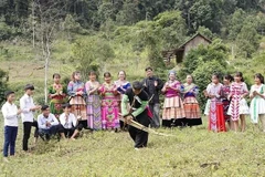 Foto de ilustración. (Foto: VNA)