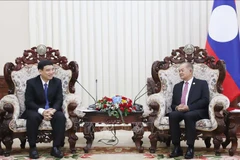 El viceprimer ministro de Laos Kikeo Khaykhamphithoune recibe al titular de la Asociación de Amistad Vietnam-Laos, Nguyen Dac Vinh. (Foto: VNA)