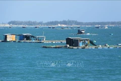 Buscan promover desarrollo sostenible de la acuicultura marina en provincia vietnamita