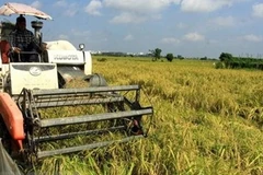 Vietnam y ASEAN prometen erradicar pobreza y garantizar seguridad alimentaria 