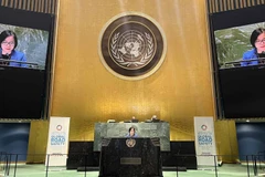 Vietnam apoya esfuerzos de ONU para mejorar la seguridad vial