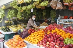 Considera Camboya levantar obligación de uso de mascarillas