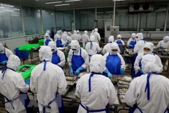 Exportación acuícola de Vietnam alcanza 11 mil millones de dólares en 2022