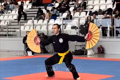 Organizan torneo de artes marciales vietnamitas en Francia