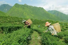 Debaten programa de reducción sostenible de pobreza en la etapa 2021-2025 en Vietnam