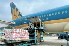 Aumenta el transporte aéreo de pasajeros y mercancías en Vietnam