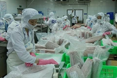 Vietnam apunta a desatascar exportaciones acuícolas