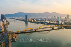 Da Nang promueve tratamiento de residuos urbanos