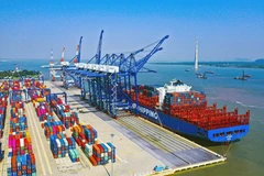 Ciudad vietnamita de Hai Phong por impulsar avance científico y tecnológico