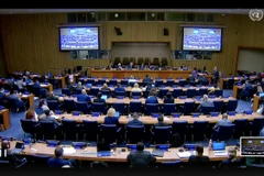 Vietnam demanda mayor apoyo financiero para refugiados palestinos