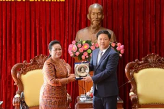 Promueven reapertura de rutas aéreas directas entre Da Nang y Camboya