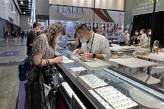 Interesadas empresas hongkonesas en mercado de gemas de Vietnam