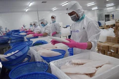 Ascienden ventas de productos acuáticos de Vietnam al exterior 