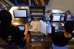 Mercado de educación en línea en Vietnam alcanzará tres mil millones de dólares en 2023 