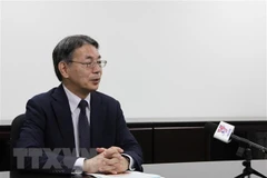 Profesor japonés considera sistema sobre control de bienes en Vietnam como gran paso en cruzada anticorrupción