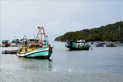 Provincia de Kien Giang se centra en proyectos clave de desarrollo