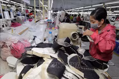 Chile calificado como puente de enlace para empresas vietnamitas en Suramérica