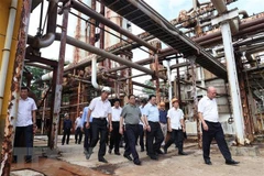 Premier vietnamita exige mejorar función de fábrica de fertilizantes Ha Bac