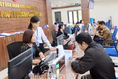 Provincia vietnamita desarrolla gobierno electrónico hacia el digital