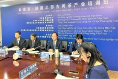 Clausuran curso de capacitación sobre industria de té para agricultores vietnamitas y chinos