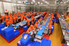 Inversiones extranjeras en Vietnam alcanzan más de 22 mil millones de USD