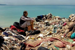 Organizarán Festival de cine sobre naturaleza en Vietnam