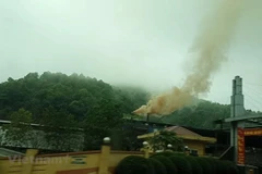 Vietnam trabaja por proteger la capa de ozono