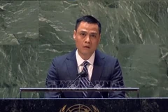 Vietnam pide mayor confianza para aliviar el riesgo nuclear