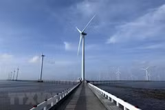Vietnam trabaja por reducir emisiones de carbono