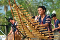 Efectuarán exposición sobre instrumentos musicales de etnias vietnamitas en ciudad de Can Tho
