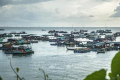 Vietnam por promover desarrollo sostenible de economía marina
