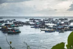 Vietnam por promover desarrollo sostenible de economía marina