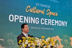 Foro promueve el turismo de Vietnam en la India