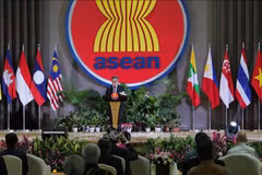 Celebra 55 aniversario del Día de la ASEAN en Yarkarta 