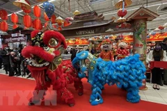 Carrefour inicia semana del Tet vietnamita con amplio surtido de productos