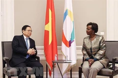 Vietnam otorga gran importancia a las relaciones con comunidad francófona