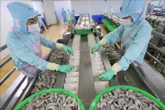 Indonesia prevé ingresar 7,6 mil millones de dólares por exportación de productos acuáticos en 2023