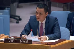Vietnam siempre apoya esfuerzos humanitarios de la ONU